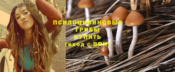 наркотики Краснослободск