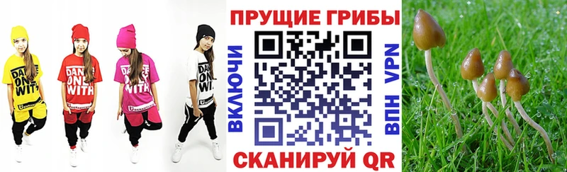 Купить где  Арсеньев  Псилоцибиновые грибы ЛСД 